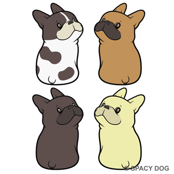 French Bulldog sitting and looking back