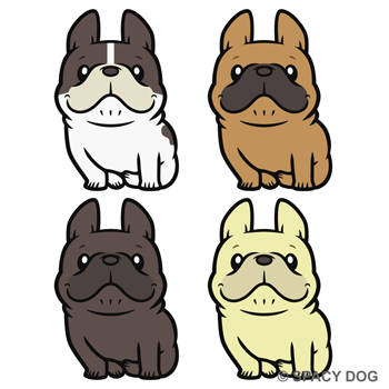 French Bulldog smiling and sitting