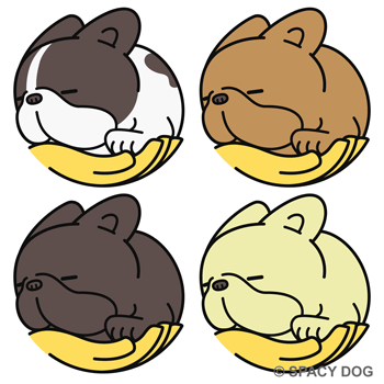 French Bulldog Sleeping in Hand