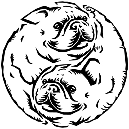 フレンチブルドッグ 陰陽